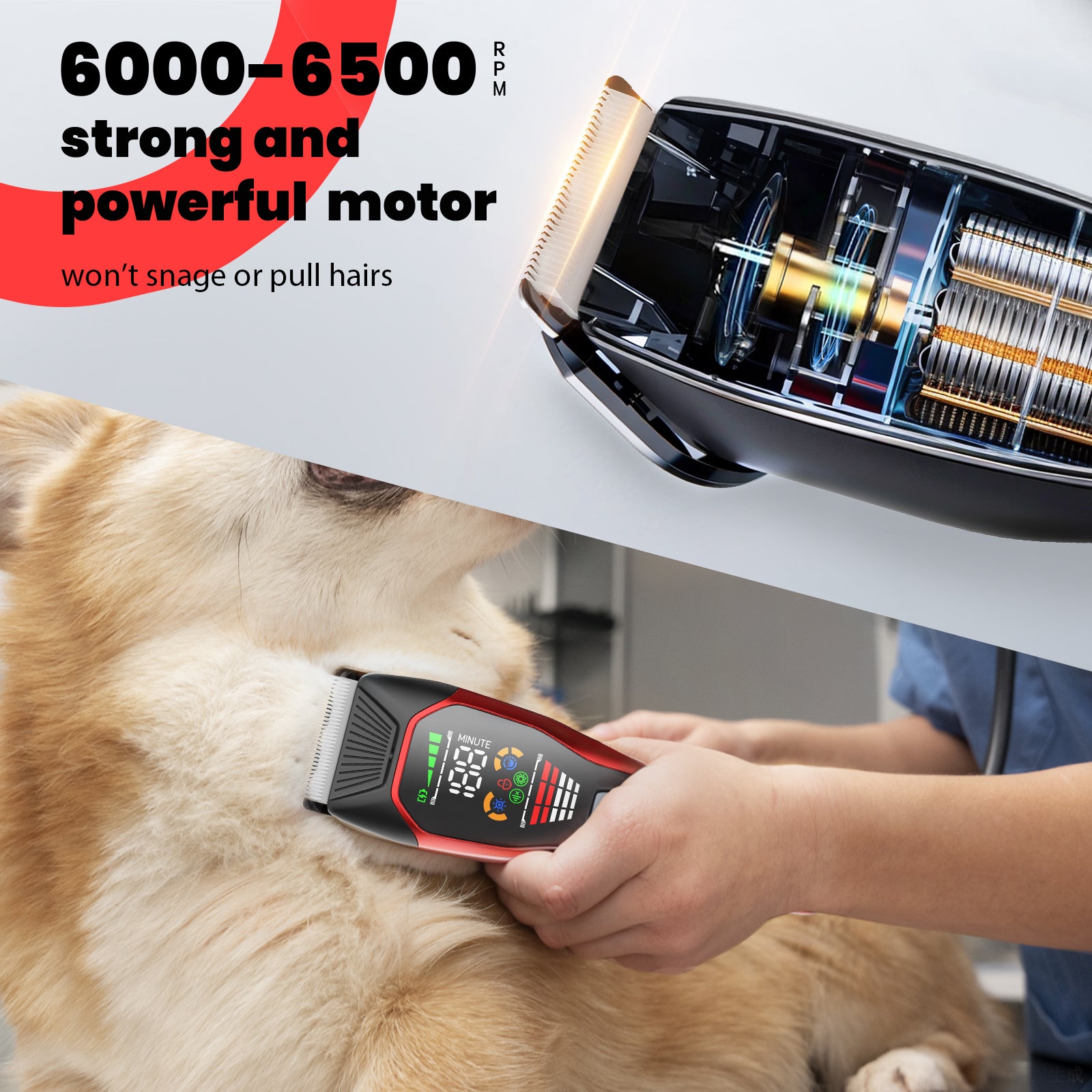 Pelov Pet Grooming Clipper – 50mm Wide Blade, 6500RPM Powerful Motor, 2-Speed Adjustable for Thick & Long Fur