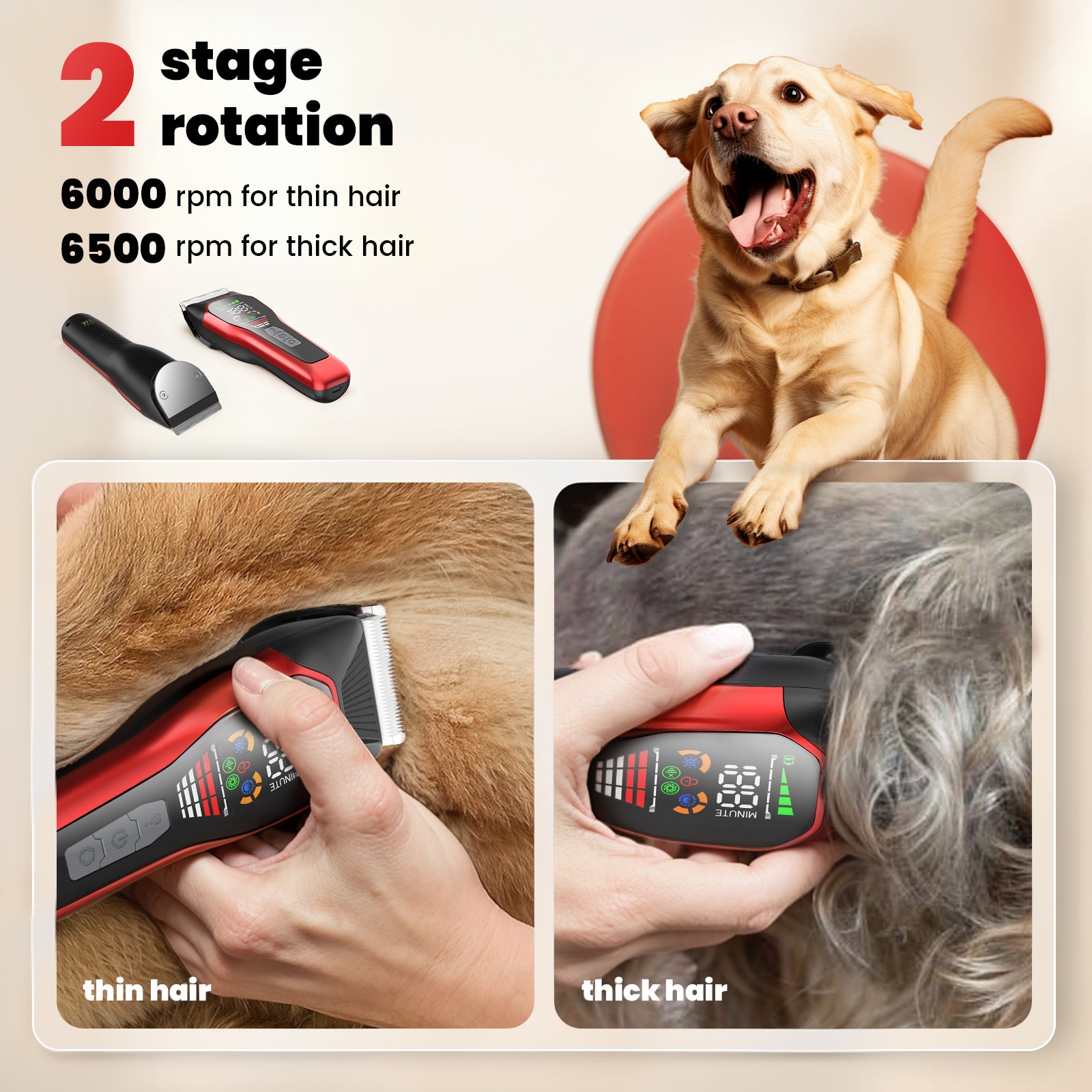 Pelov Pet Grooming Clipper – 50mm Wide Blade, 6500RPM Powerful Motor, 2-Speed Adjustable for Thick & Long Fur